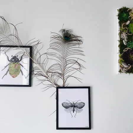 Διαμέρισμα Le Cosy Loire