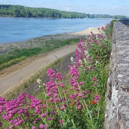 Le Cosy Loire شقة