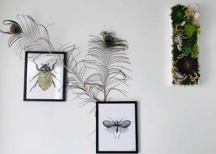 Lejlighed Le Cosy Loire