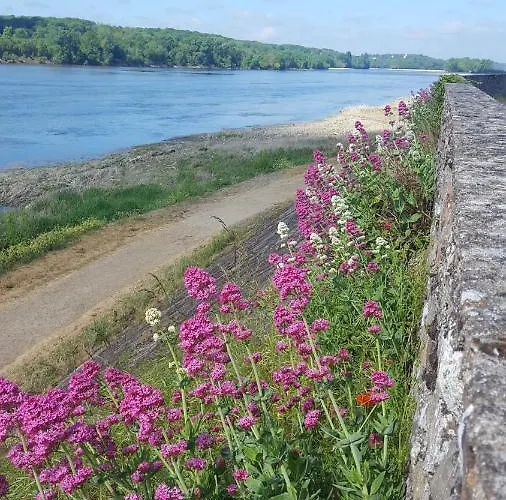 Le Cosy Loire شقة