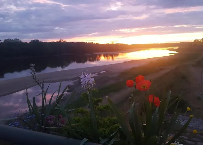 Le Cosy Loire Lejlighed Les Rosiers